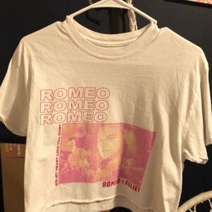 Romeo + Juliet | Leonardo DiCaprio Pink Hazy Sunset Color Crop Top